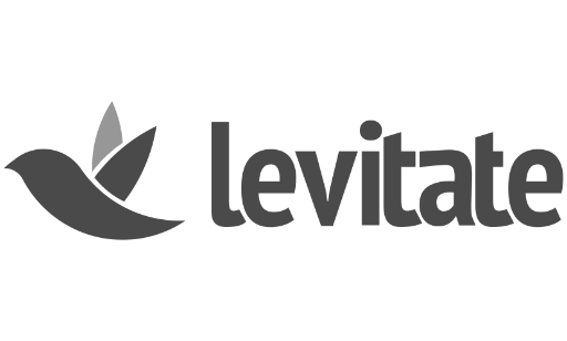 Levitate Logo